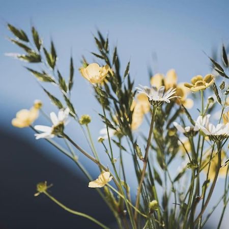 Alpenrose Leilighet Ramsau im Zillertal Eksteriør bilde