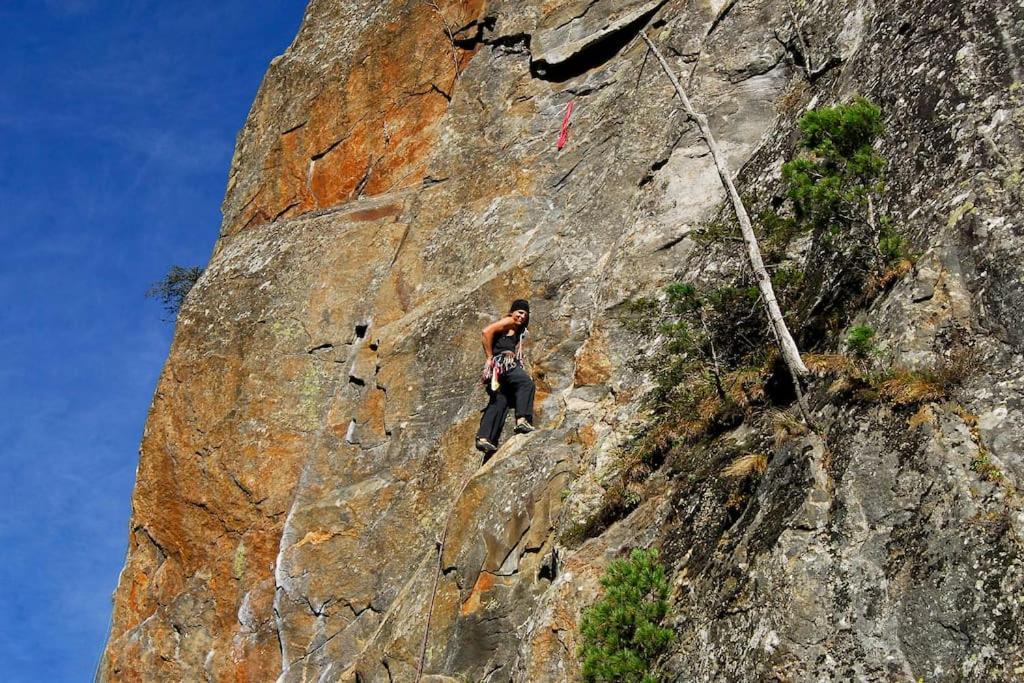 Alpenrose Leilighet Ramsau im Zillertal Eksteriør bilde